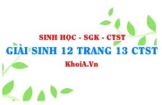 Giải Sinh 12 trang 13 Chân trời Sáng tạo